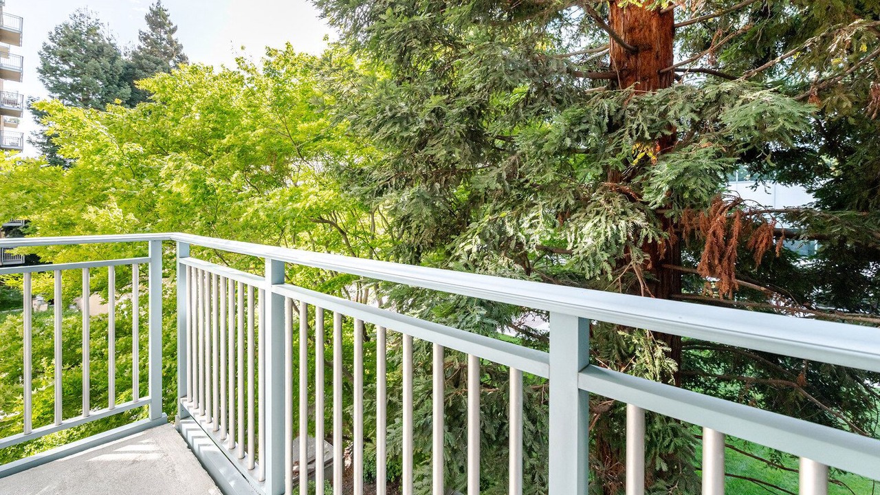 Photo of Outdoor in Mountain View