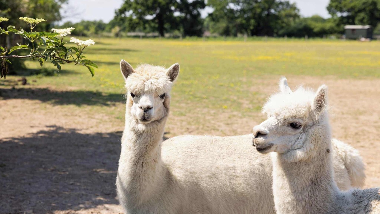 Photo of Others in Emsworth