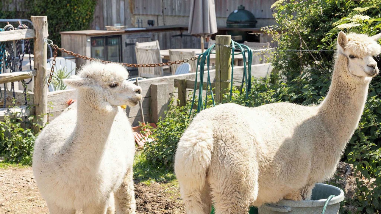 Photo of Others in Emsworth