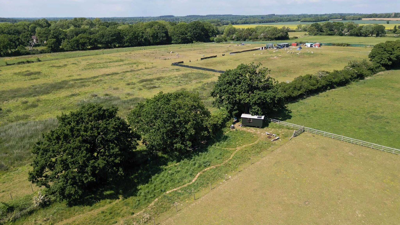 Photo of Others in Emsworth