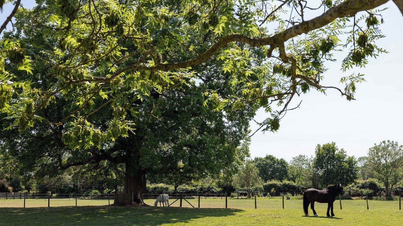 Photo of Others in Emsworth