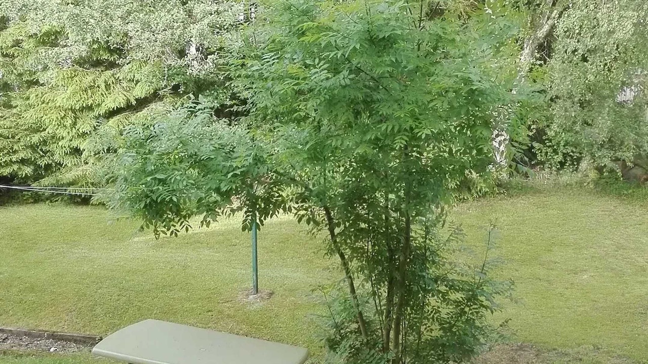 Photo of Outdoor in Xonrupt-Longemer