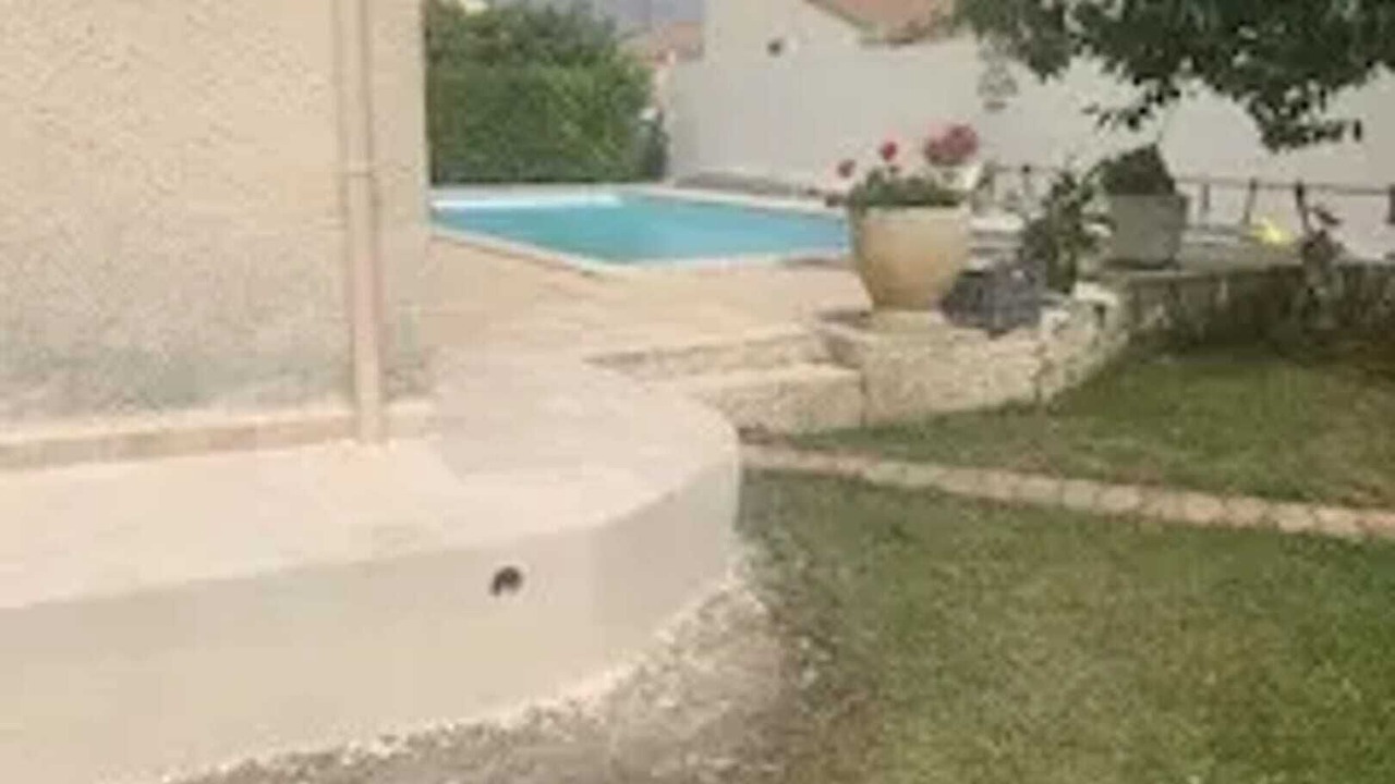 Photo of Outdoor in Milhaud