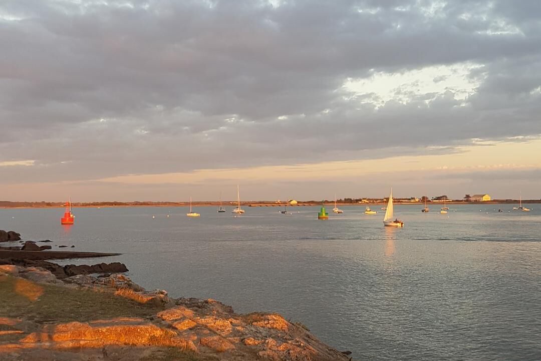 Photo of Others in Port-Louis