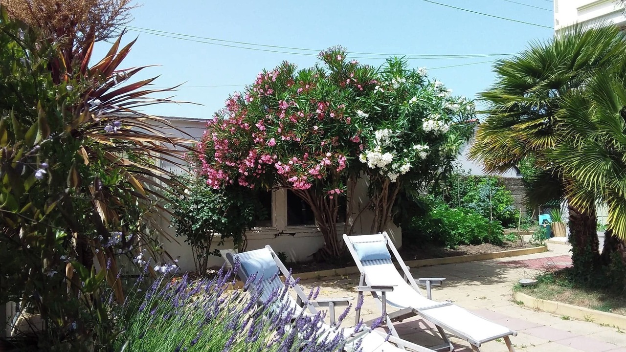 Photo of Patio Balcony in Port-Louis