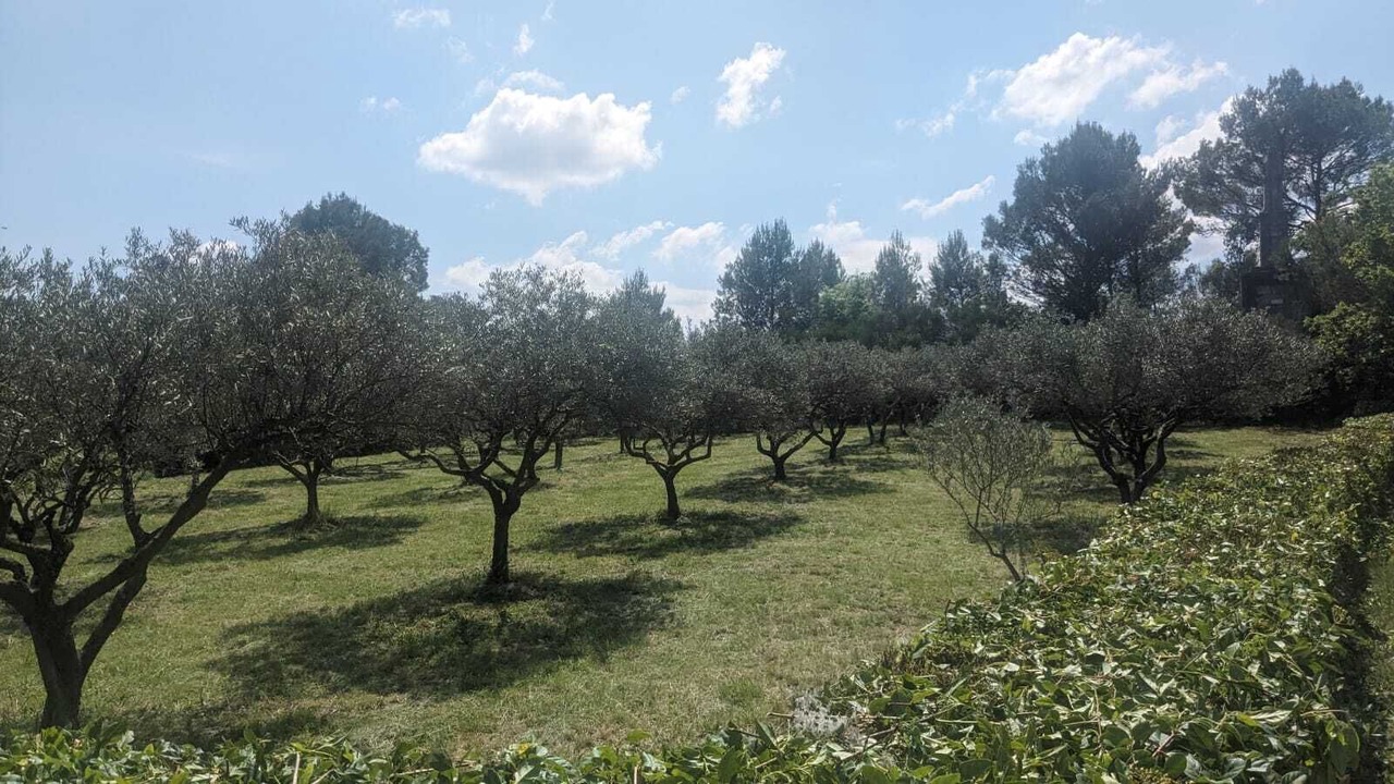 Photo of Others in Saint-Andre-de-Roquepertuis