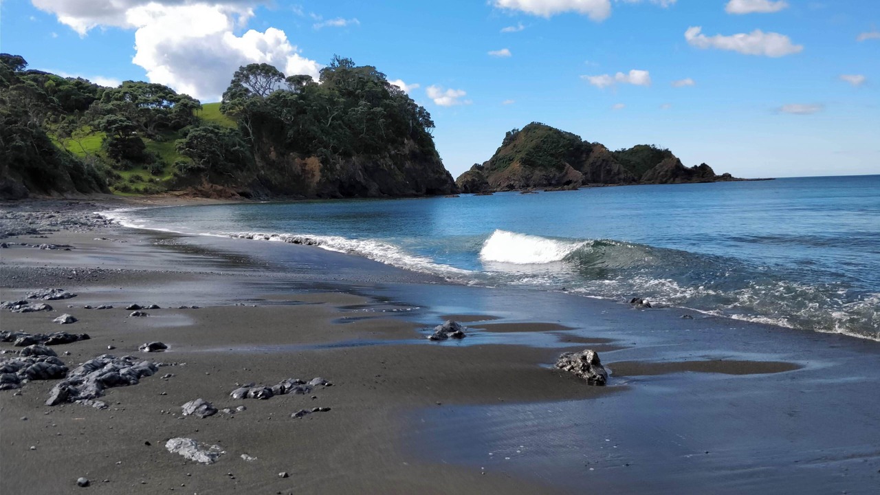 Photo of Others in Tutukaka