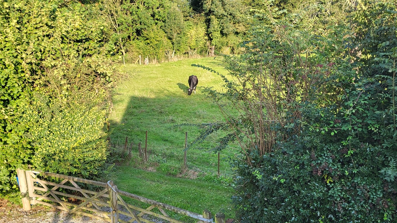 Photo of Outdoor in Yvrench