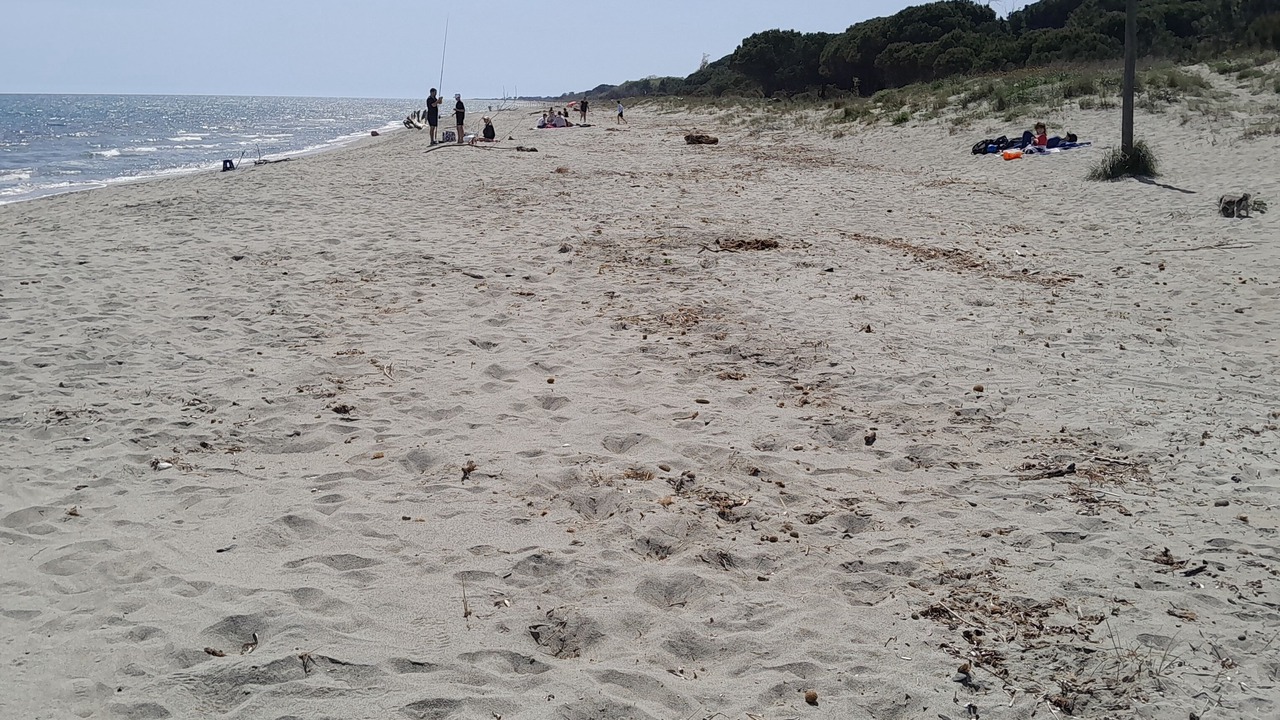 Photo of Others in Sorbo-Ocagnano