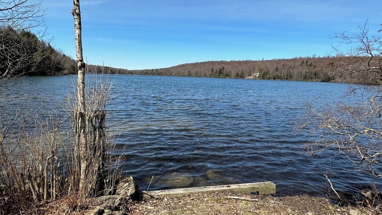 Photo of Others in Starrucca