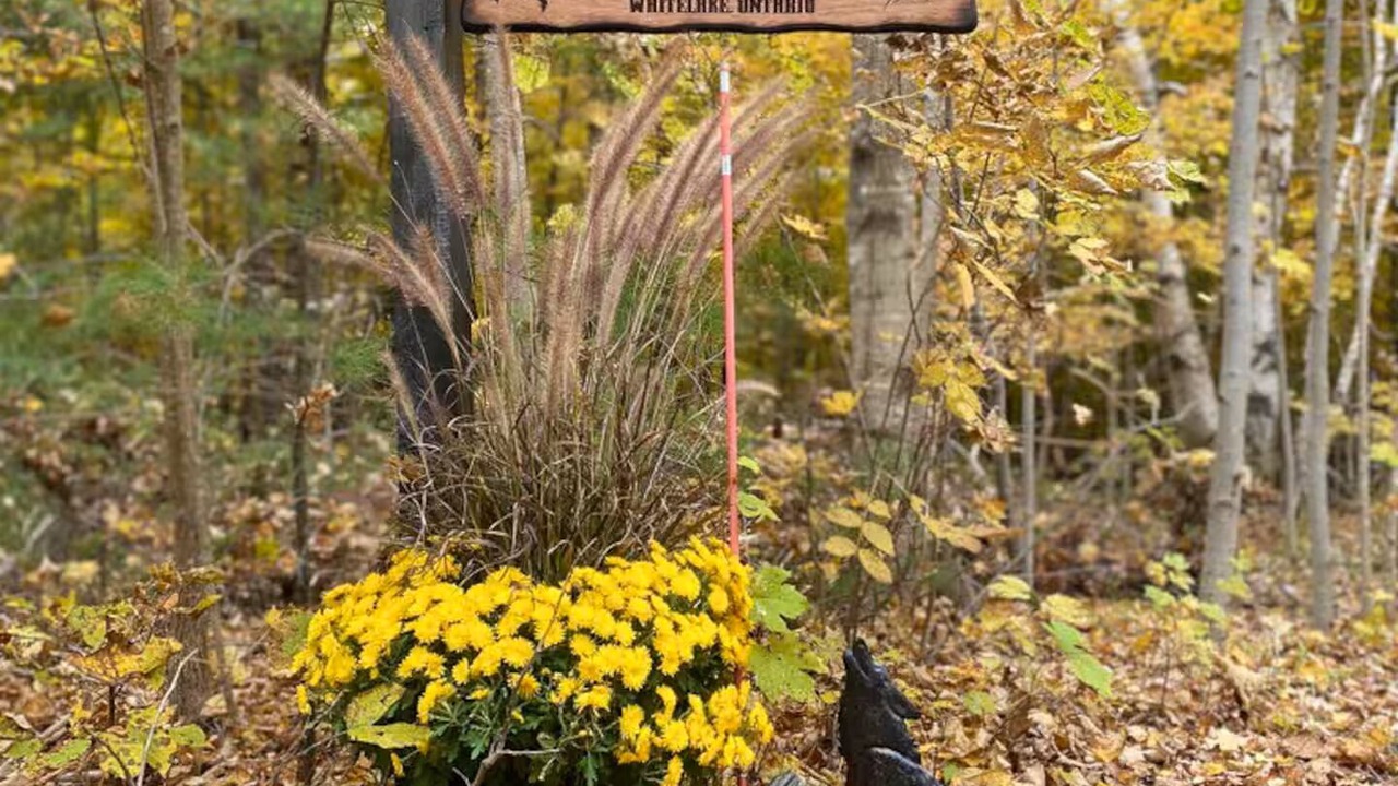 Photo of Outdoor in Lanark Highlands