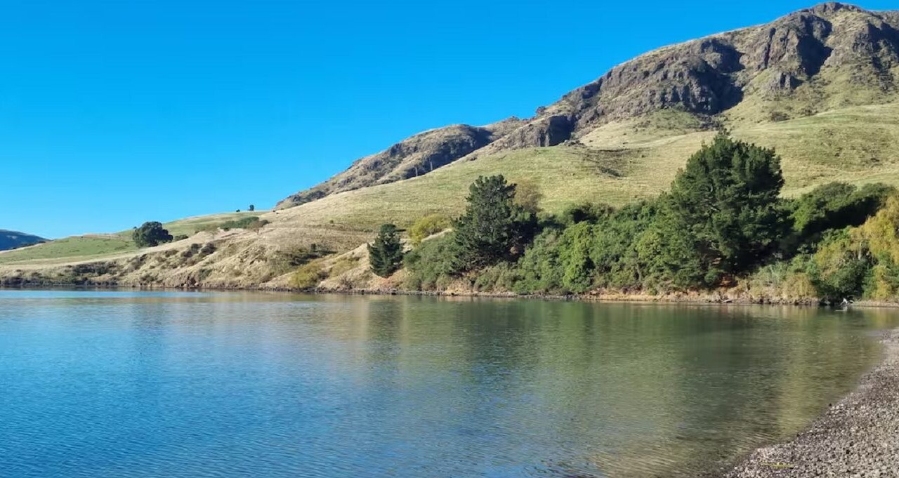 Photo of Others in Christchurch District