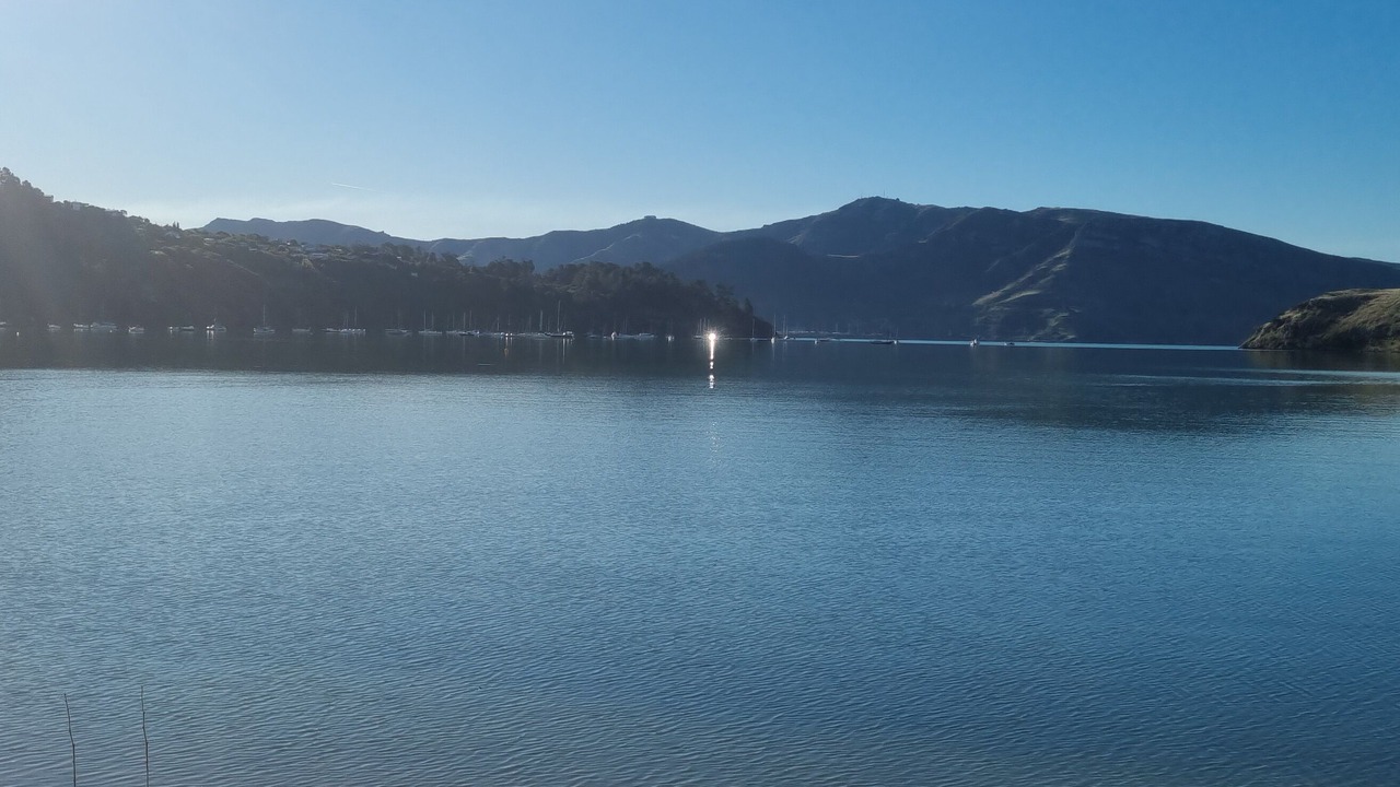 Photo of Others in Christchurch District