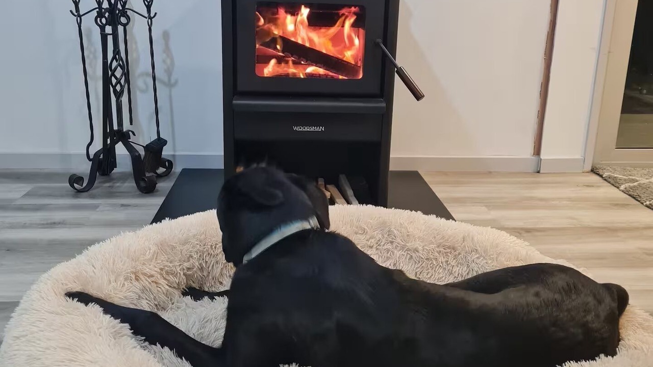 Photo of Others in Christchurch District