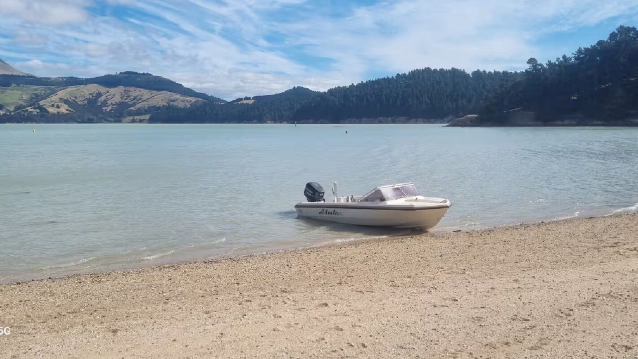 Photo of Others in Christchurch District