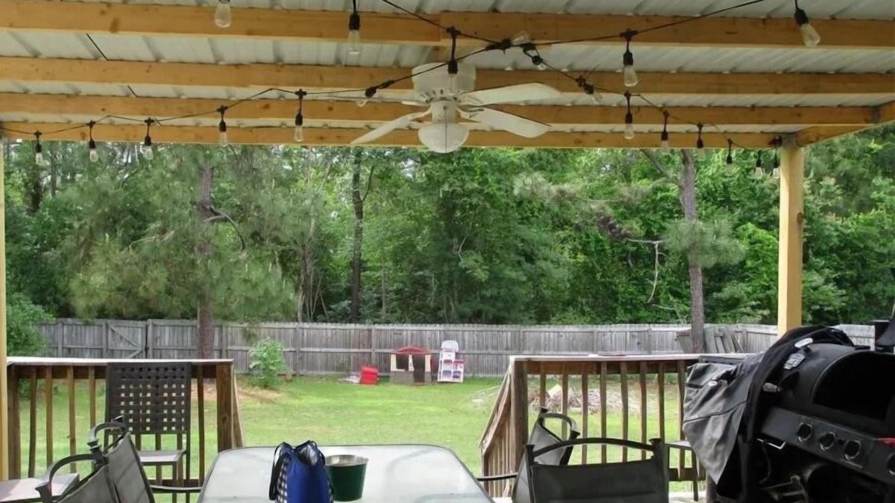 Photo of Outdoor in Pine Forest