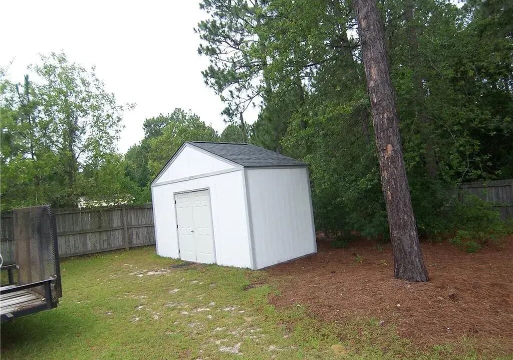 Photo of Outdoor in Pine Forest