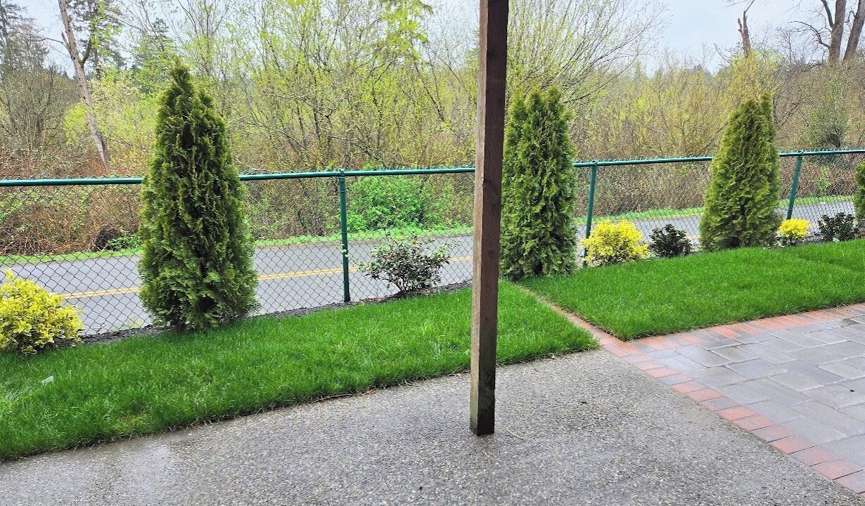 Photo of Outdoor in Lynnwood