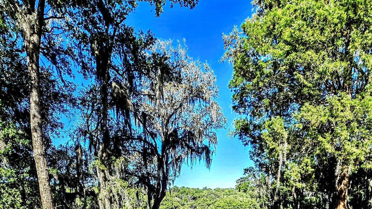 Photo of Others in Hernando