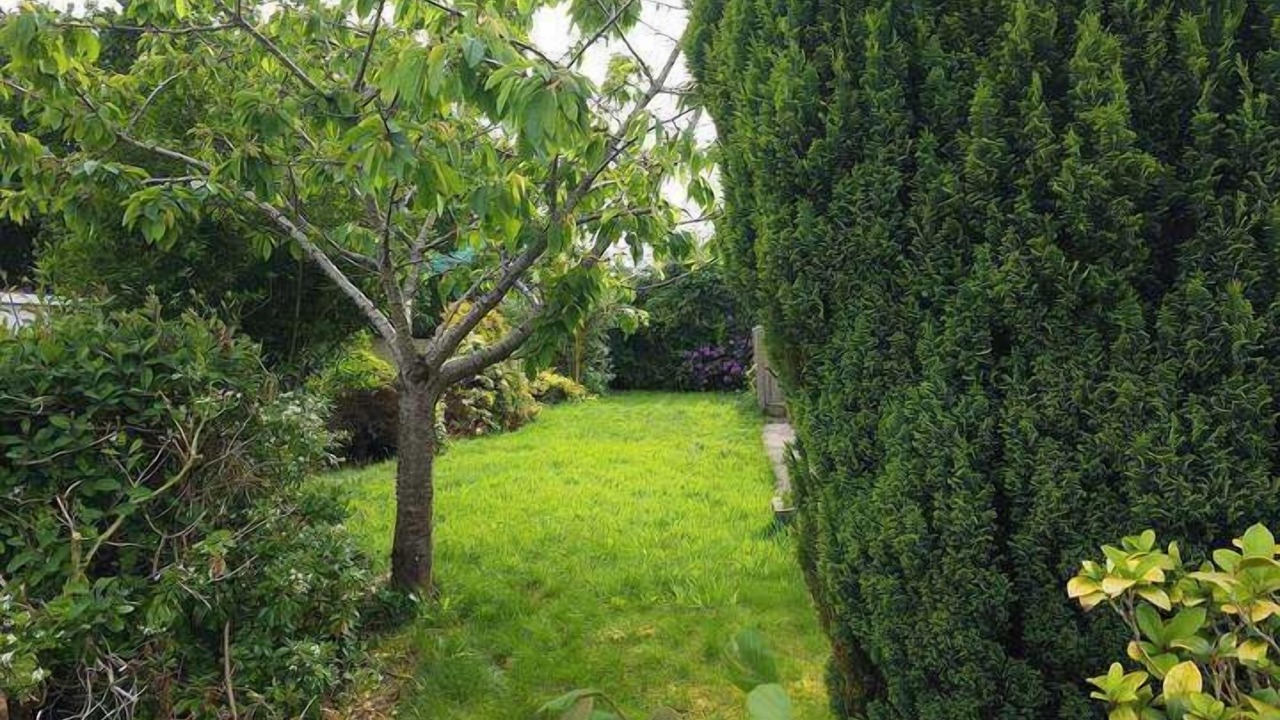 Photo of Others in Tunstall