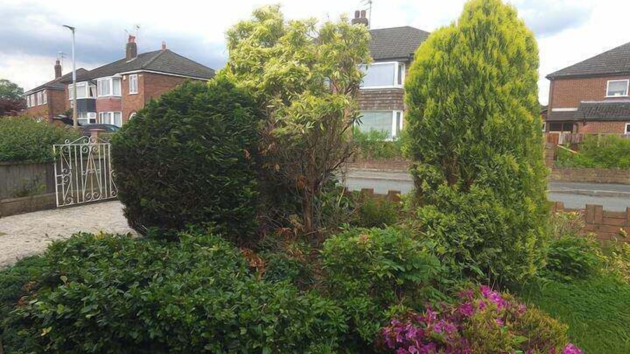 Photo of Others in Tunstall