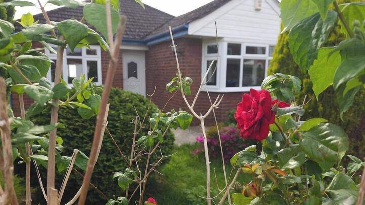 Photo of Others in Tunstall