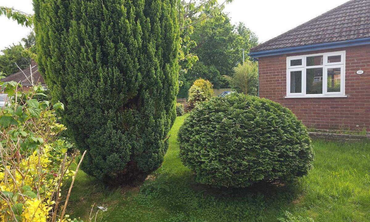 Photo of Others in Tunstall