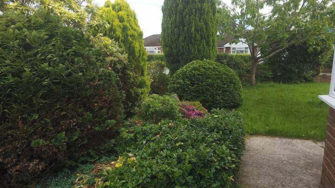 Photo of Others in Tunstall