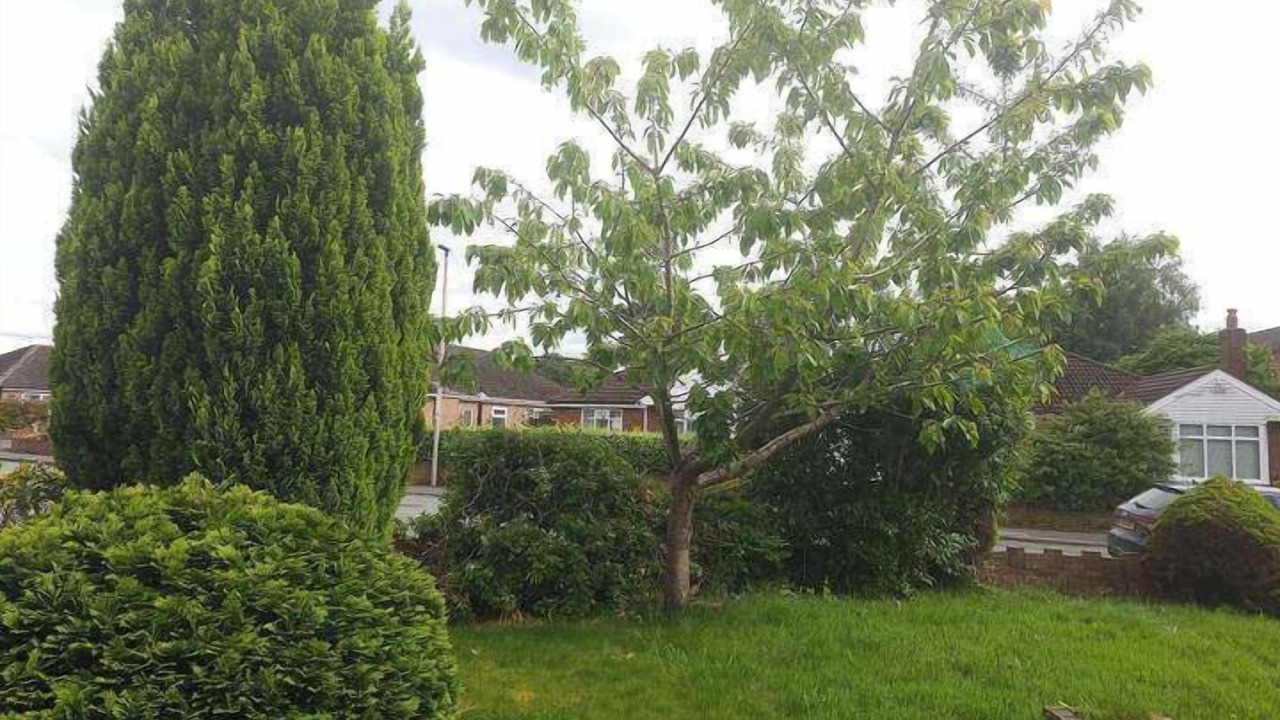 Photo of Others in Tunstall