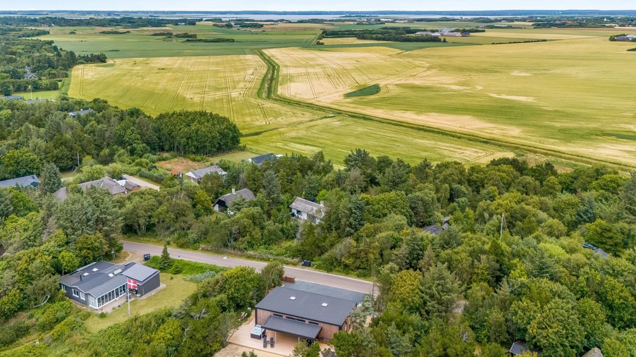 Photo of Others in Lodbjerg Hede