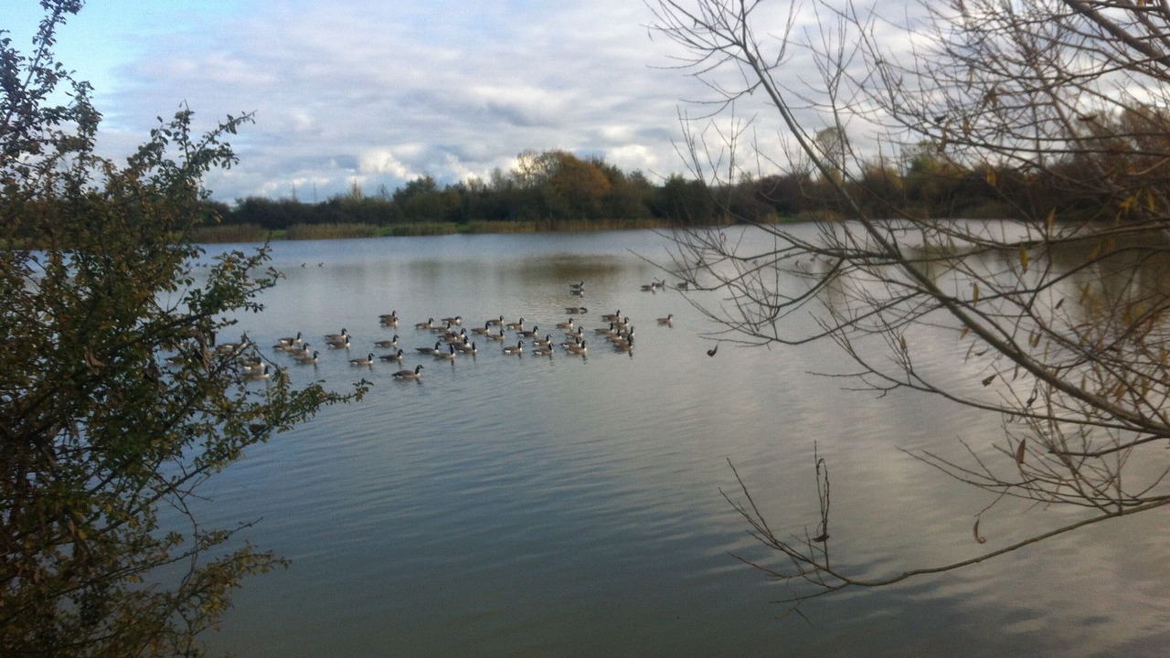 Photo of Outdoor in Bridgwater