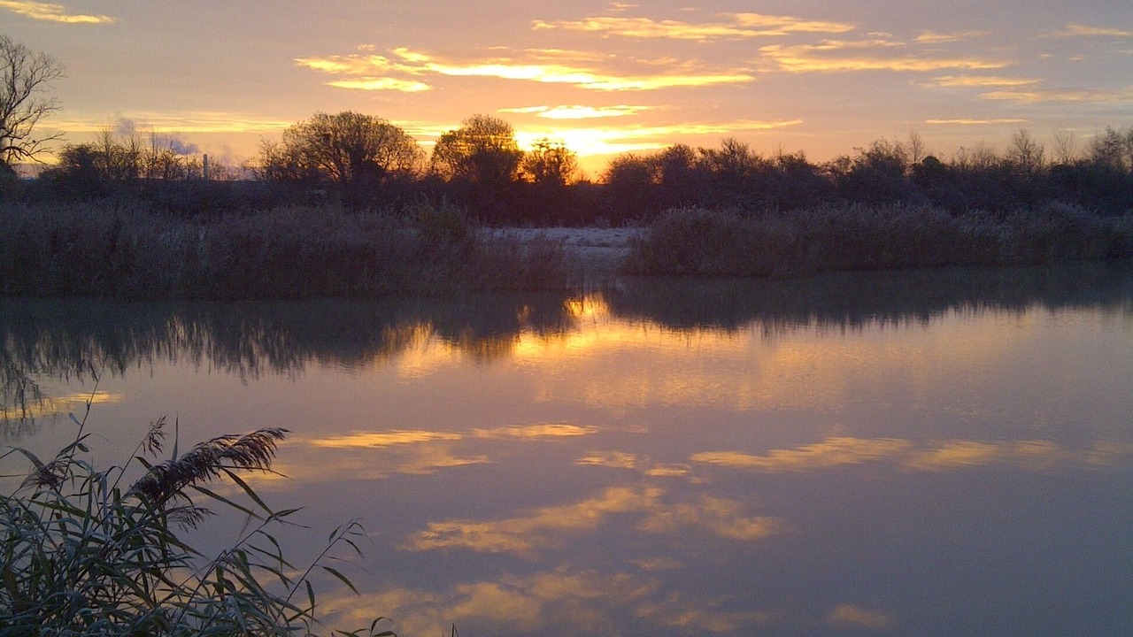 Photo of Others in Bridgwater