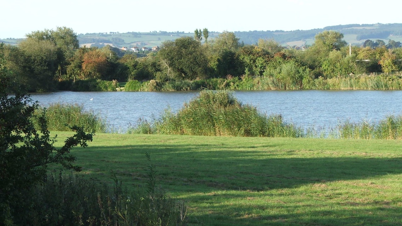 Photo of Outdoor in Bridgwater