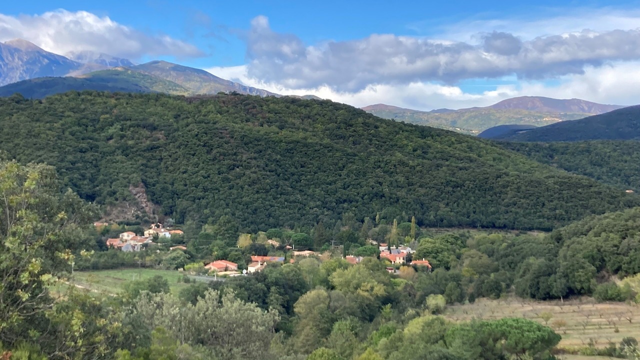 Photo of Others in Reynes