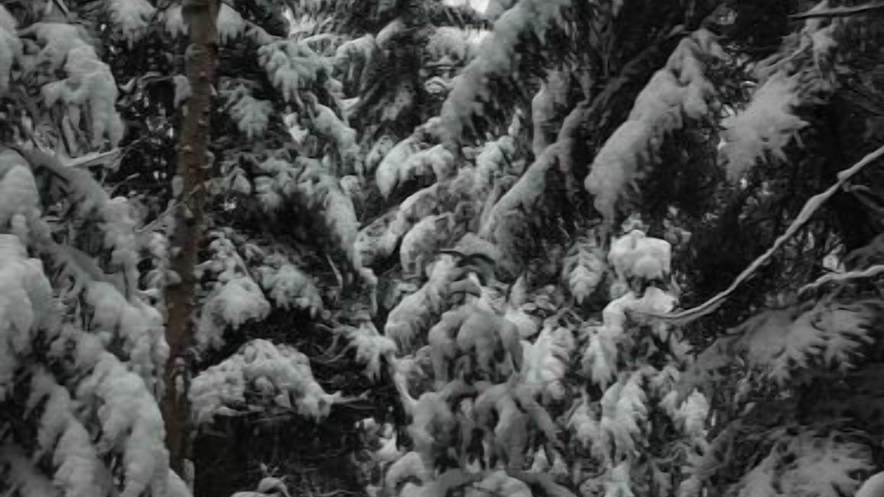 Photo of Others in Mont-Tremblant