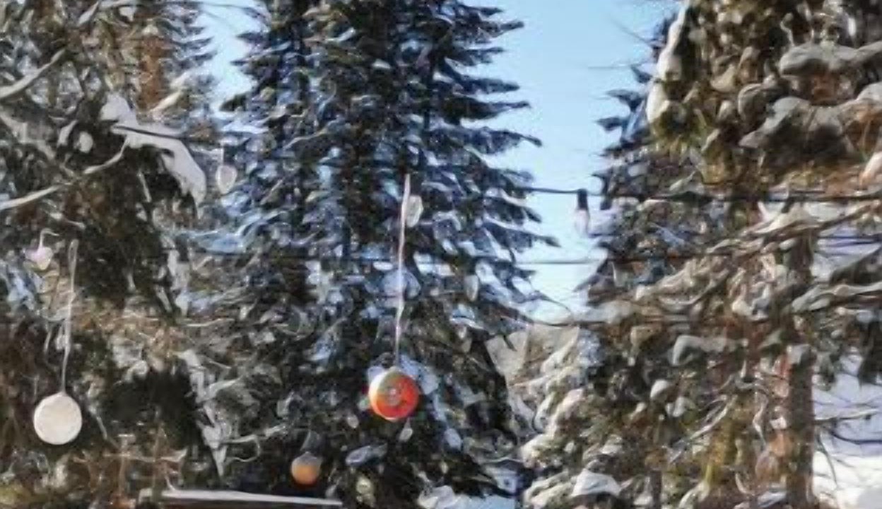 Photo of Others in Mont-Tremblant
