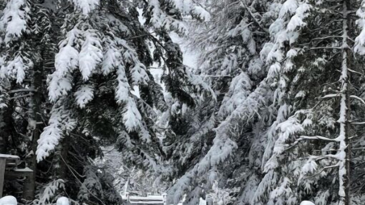 Photo of Others in Mont-Tremblant