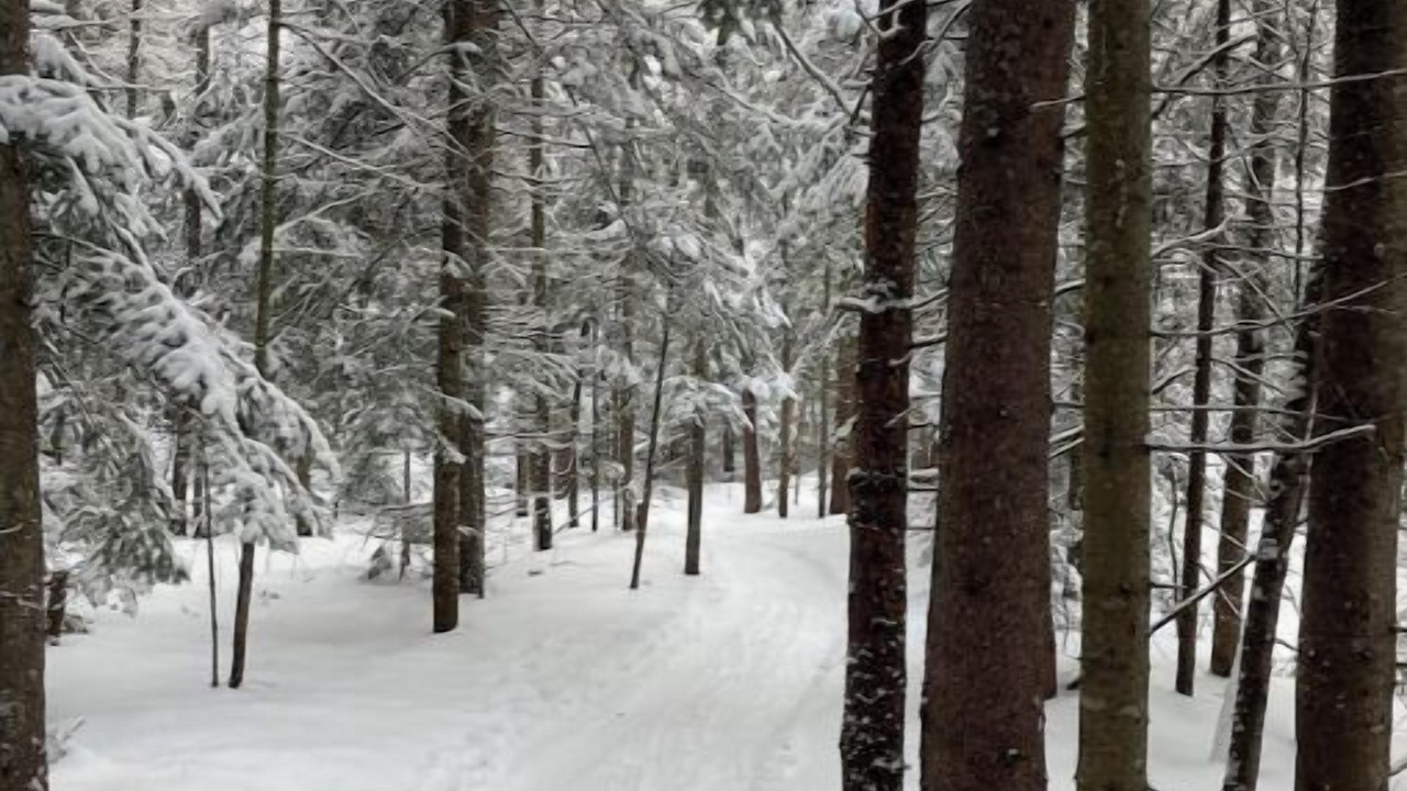 Photo of Others in Mont-Tremblant