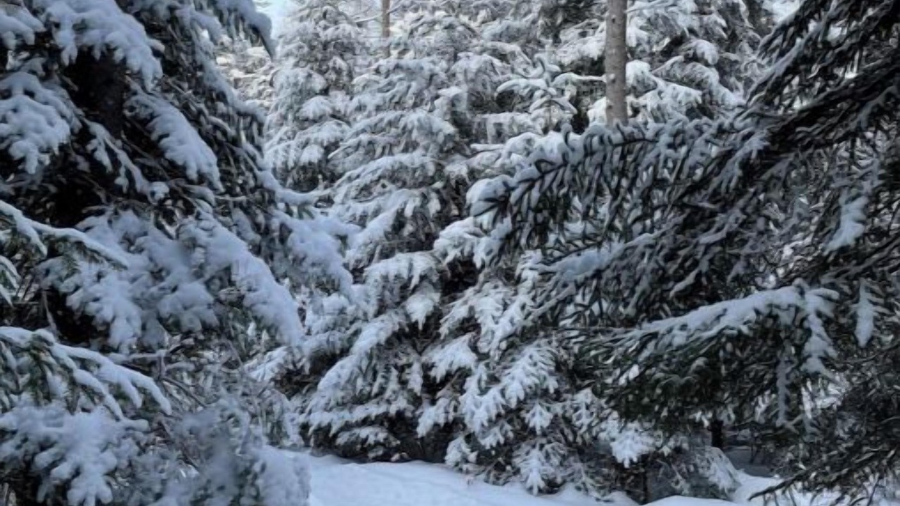 Photo of Others in Mont-Tremblant