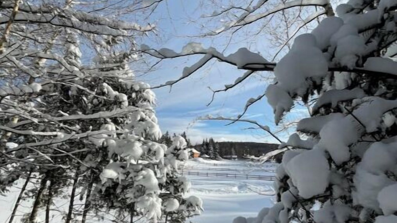 Photo of Others in Mont-Tremblant