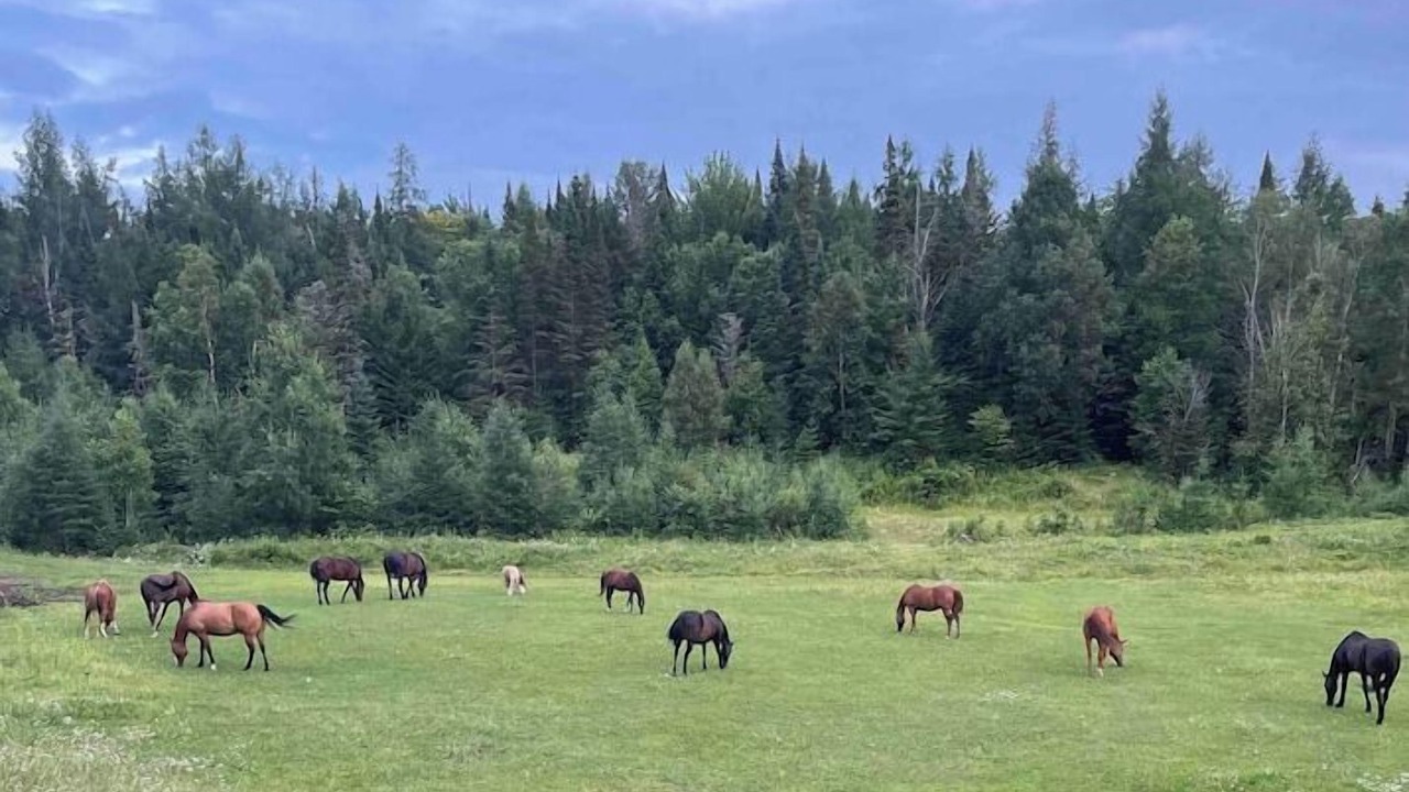 Photo of Others in Mont-Tremblant