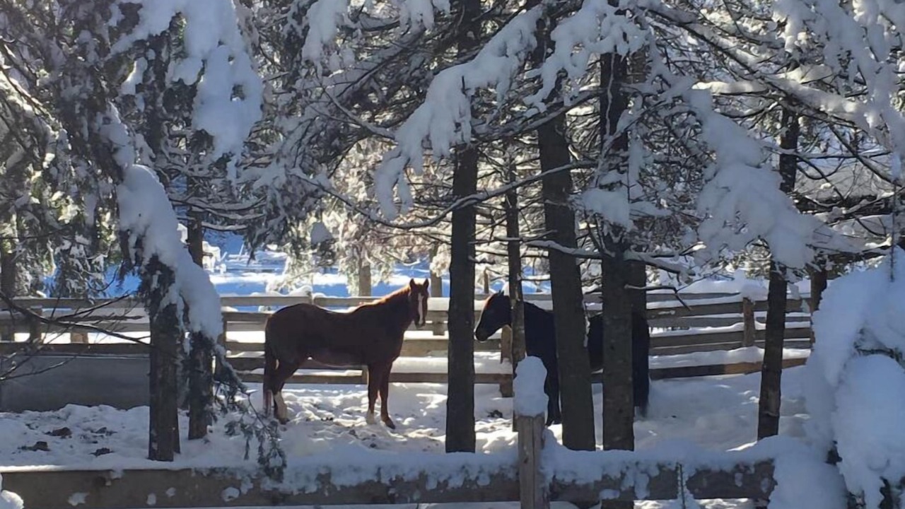 Photo of Others in Mont-Tremblant