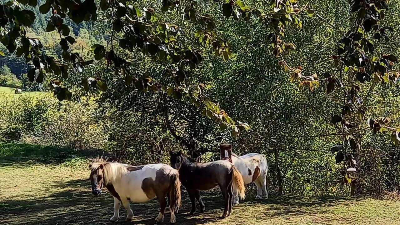 Photo of Others in Aix