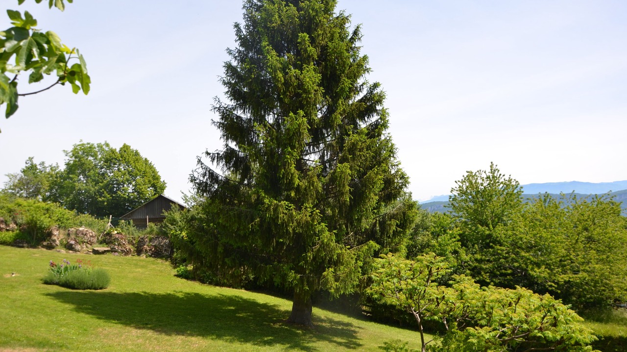 Photo of Outdoor in Ontex