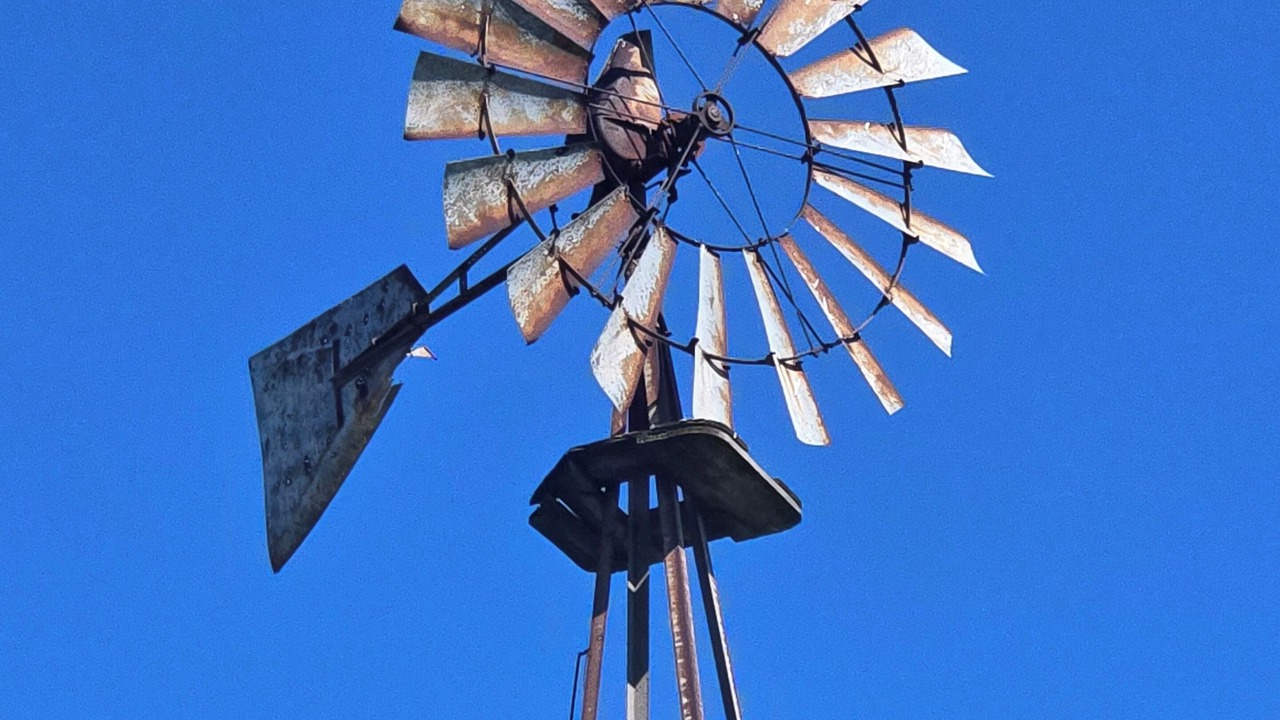 Photo of Others in Eleroy