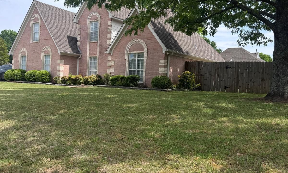 Photo of Outdoor in Olive Branch