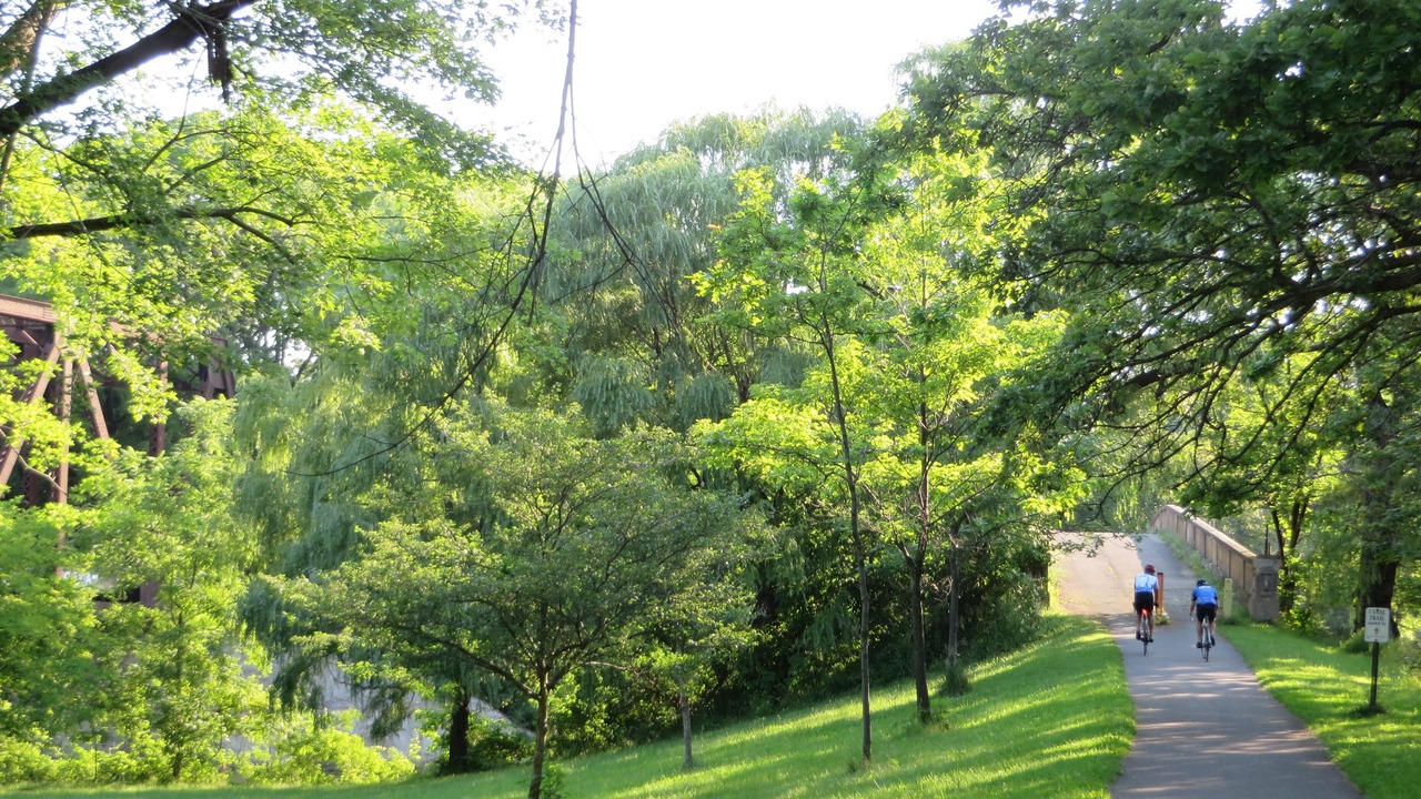 Photo of Others in Rochester