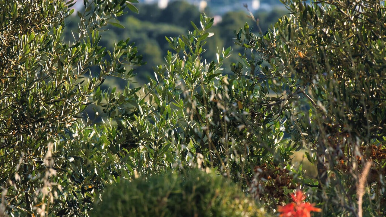 Photo of Outdoor in Businci