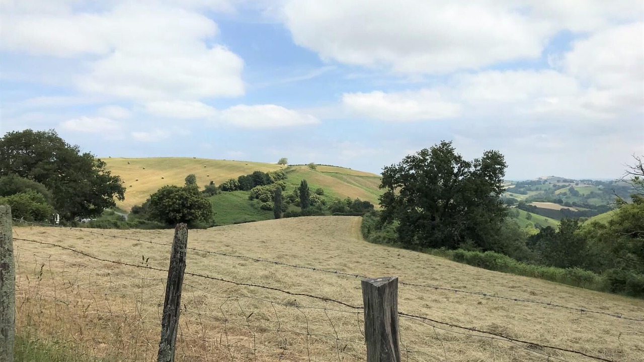 Photo of Others in Saint-Martin-d'Arberoue