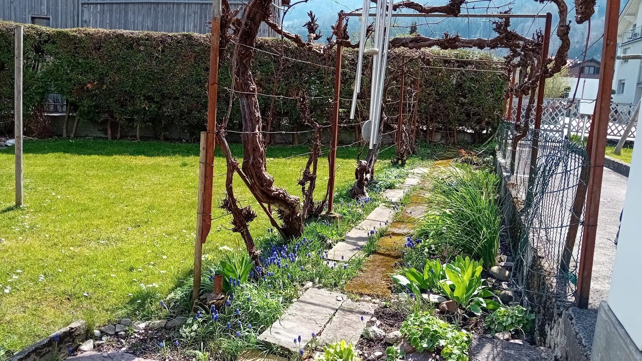 Photo of Outdoor in Pfaefers Dorf